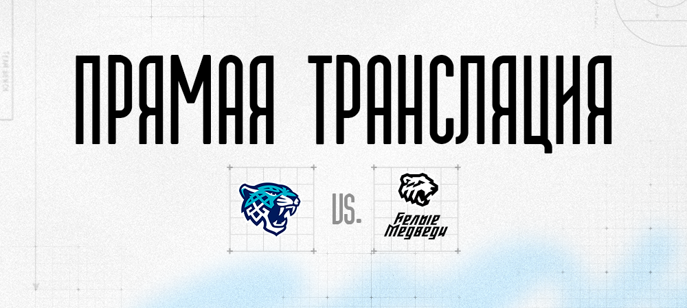 Прямая трансляция матча против «Снежных Барсов» 