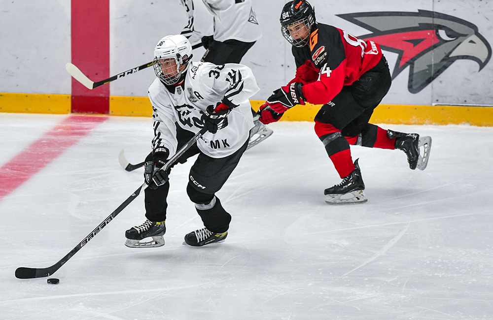 «Белые Медведи» уступили «Омским Ястребам» в овертайме  