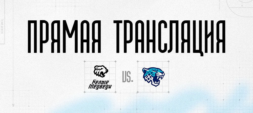 Прямая трансляция матча против «Снежных Барсов» 