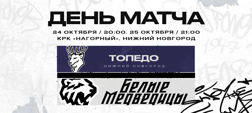 ЖХЛ. «Белые Медведицы» против «Торпедо» 