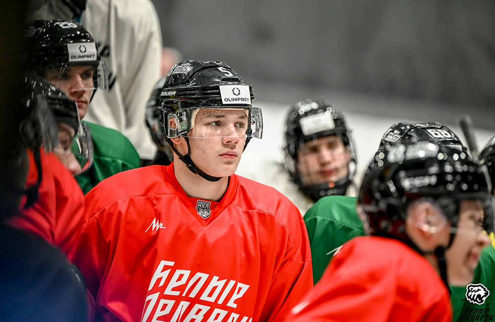 Андрей Подгузов: «Безразличного хоккея точно не будет» 