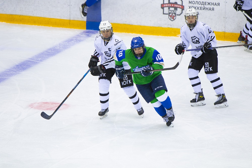 ЖХЛ 23/24. «Агидель» – «Белые Медведицы» – 3:1 