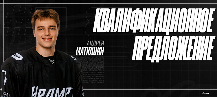 Андрей Матюшин | Квалификационное предложение 