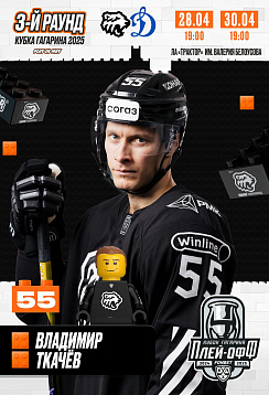 28.04 и 30.04 vs Динамо Москва