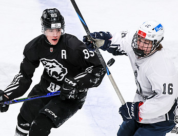 МХЛ 25/26. «Белые Медведи» vs МХК «Динамо» СПб (3:0)