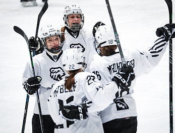 25/26. «Динамо-Нева» vs «Белые Медведицы» (2:3)
