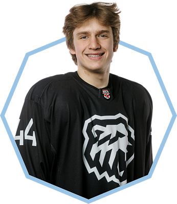 Роман Кожевников