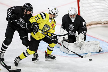 Кубок ЖХЛ 25/26. Матч #1. «Торнадо» – «Белые Медведицы». Прямая трансляция 