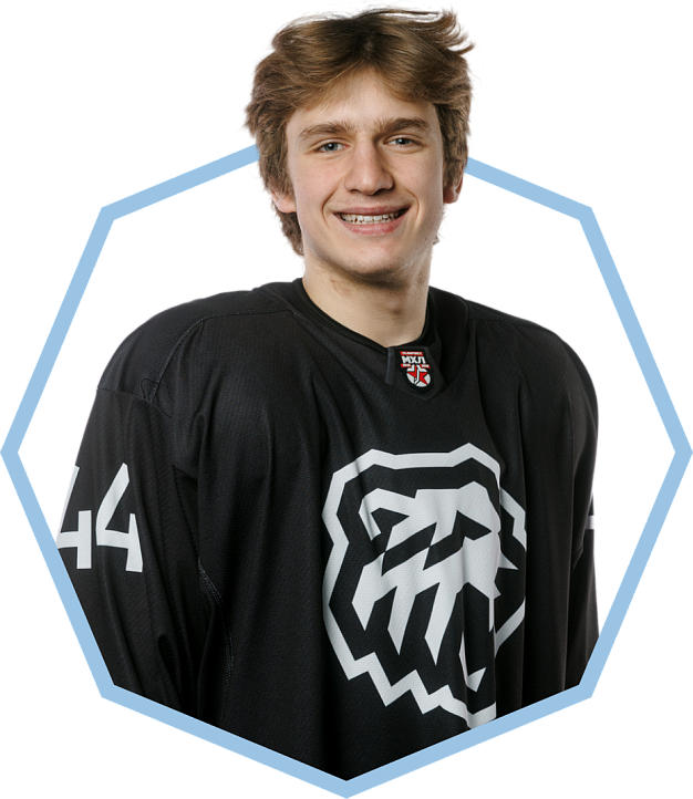 Роман Кожевников