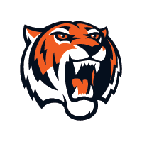 лого амурские тигры